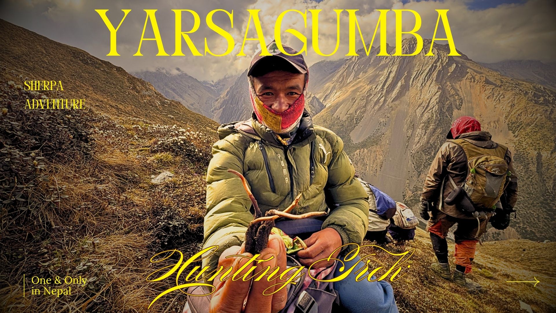 Yarsagumba Hunting in Manang Region: A Himalayan Expedition with Sherpa Adventure